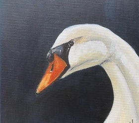 Swan 2022